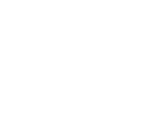 cognitivo